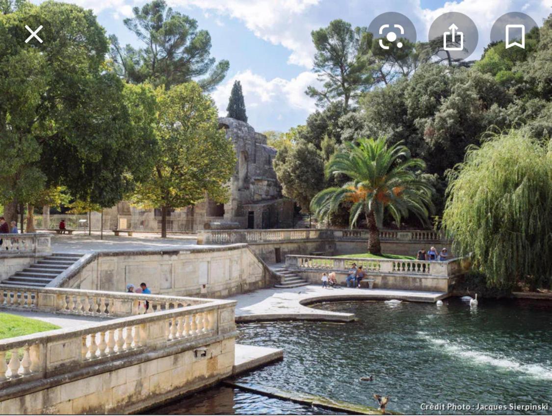 Gite Les Oliviers 10 Pers Piscine Au Calme 4 Etoiles Saint-Laurent-la-Vernède Dış mekan fotoğraf