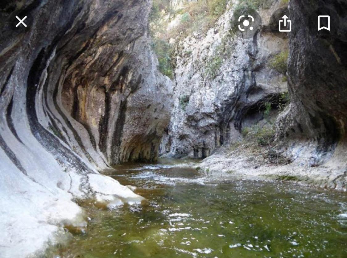 Gite Les Oliviers 10 Pers Piscine Au Calme 4 Etoiles Saint-Laurent-la-Vernède Dış mekan fotoğraf