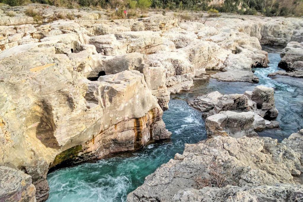 Gite Les Oliviers 10 Pers Piscine Au Calme 4 Etoiles Saint-Laurent-la-Vernède Dış mekan fotoğraf